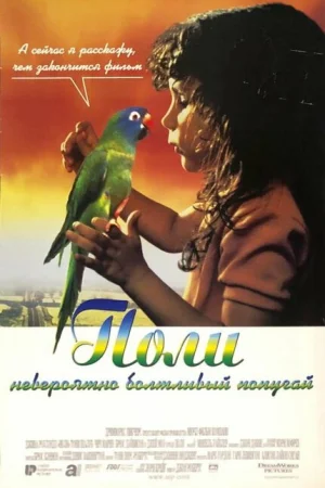 Поли 