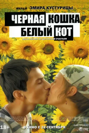 Черная кошка, белый кот 